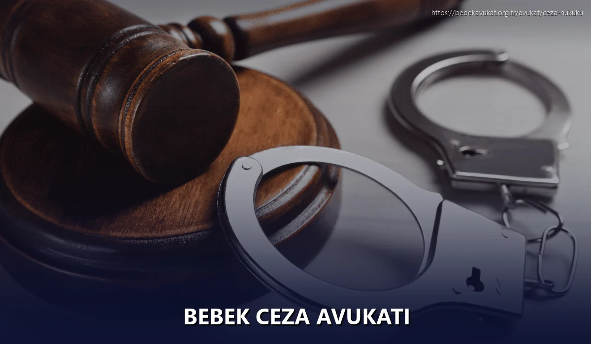 Bebek Ceza Avukatı