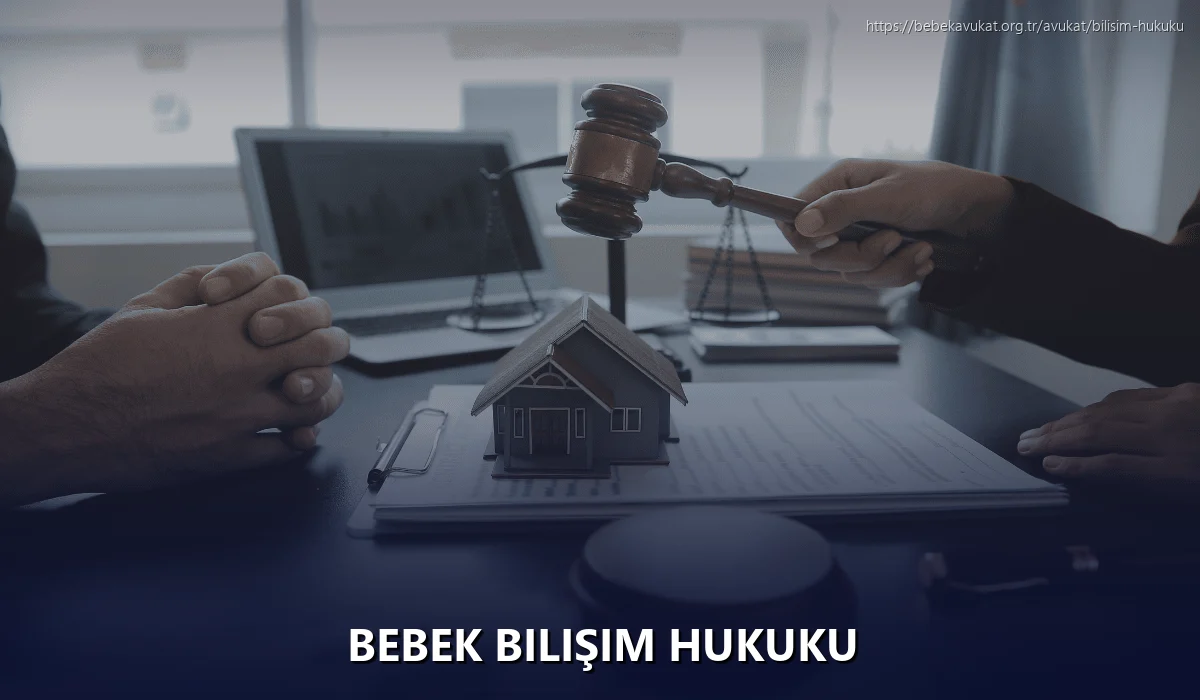 Bebek Bilişim Hukuku