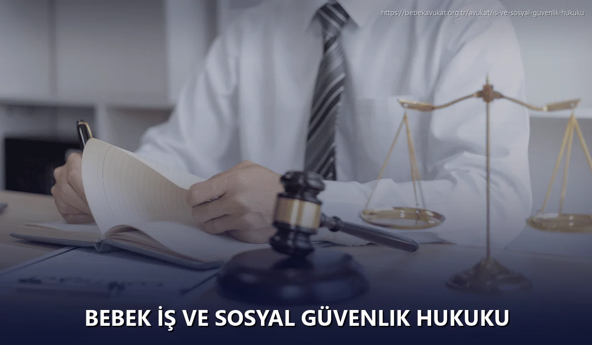 Bebek İş ve Sosyal Güvenlik Hukuku