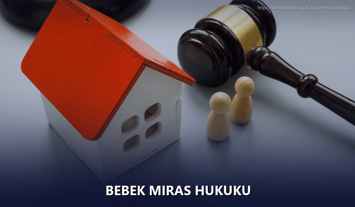 Bebek Miras Hukuku
