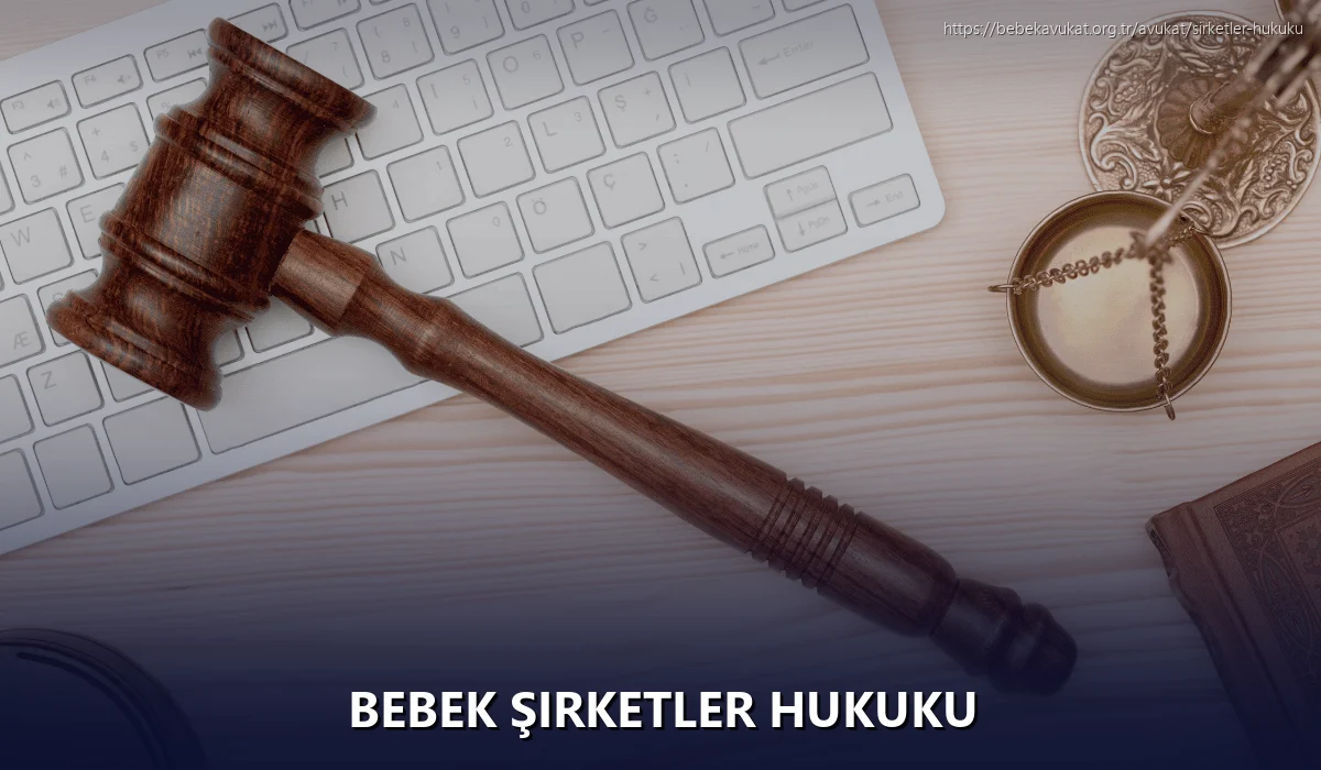 Bebek Şirketler Hukuku